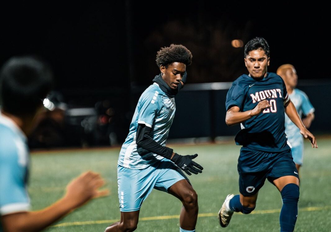 WhatsApp Image 2026-01-09 at 09.33.29